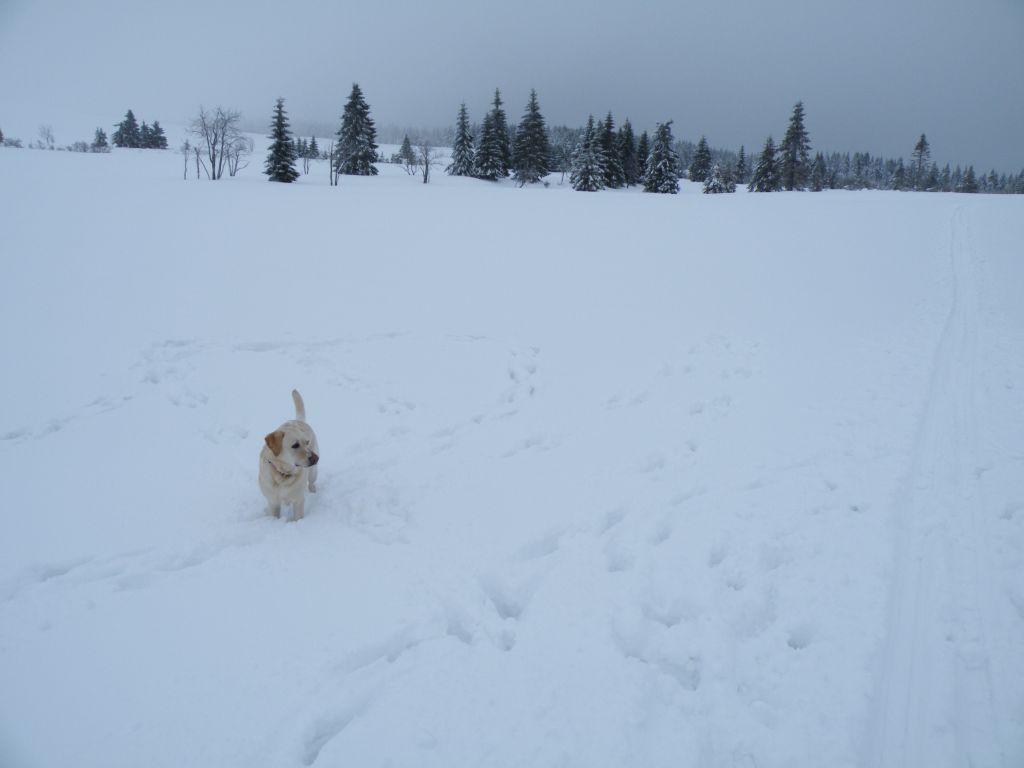 DSCF1073.jpg